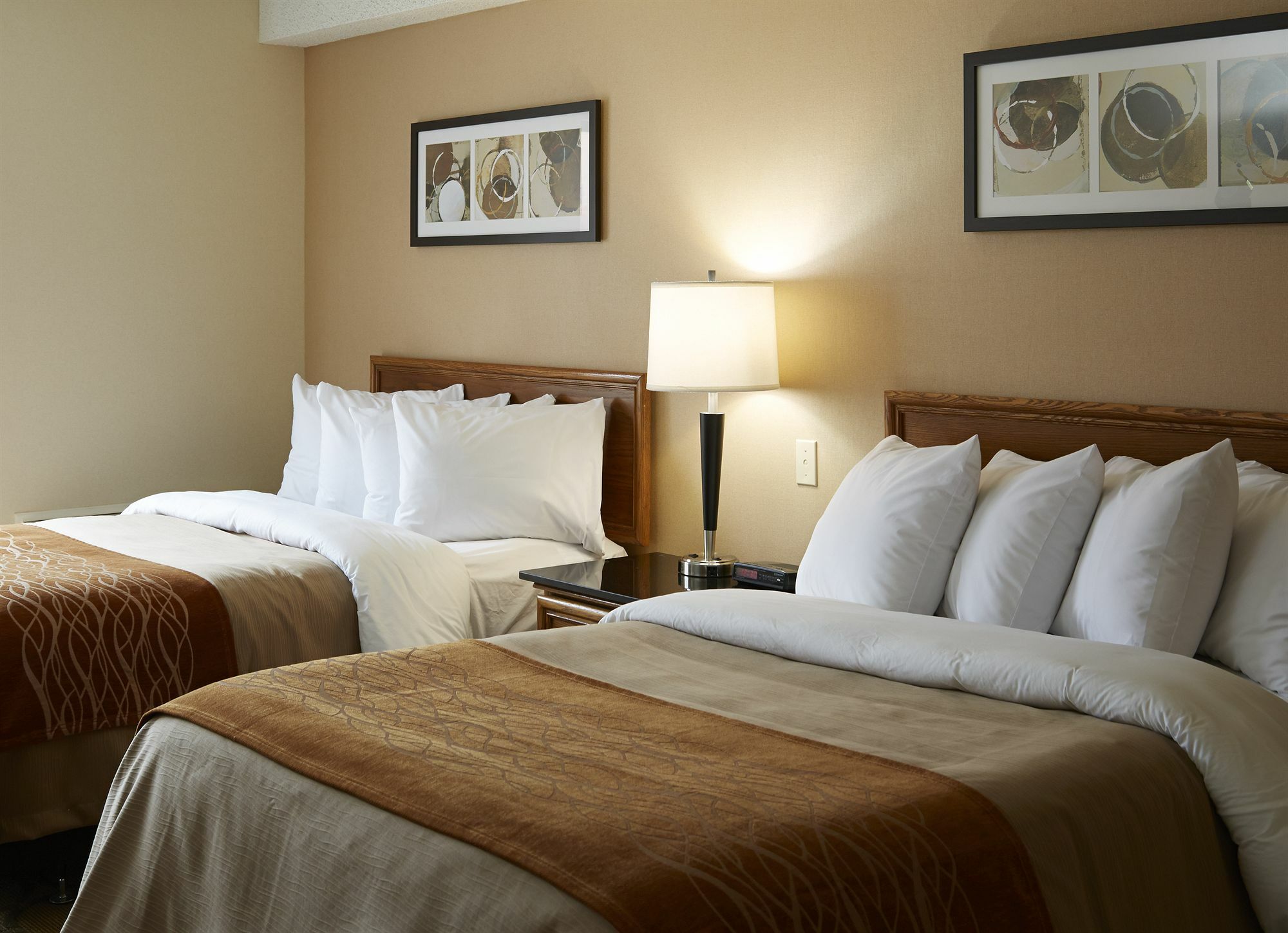 Comfort Inn Hwy 401 Kingston Ngoại thất bức ảnh